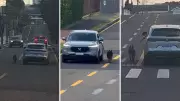 Motorista de 75 anos é indiciado por maus-tratos após dirigir com cachorro preso fora do carro no Paraná