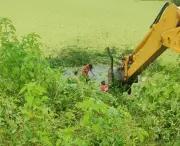Motorista morre após carro capotar e cair em açude no RN
