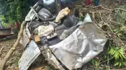 Motorista morre após carro sair da pista e bater em árvores na MG-441 em Lajinha