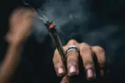 MP-AL orienta PM a não prender por porte de até 40g de maconha para uso pessoal em Maceió