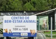MPSC investiga eutanásia irregular de animais em Joinville