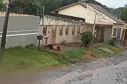 Mulher escapa de feminicídio ao pular muro após ser baleada pelo marido em Campo Grande