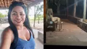 Mulher morre atacada pelo próprio pitbull ao dar banho no animal no interior do Maranhão