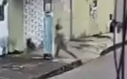Mulher é presa após espancar cachorro comunitário com pedaço de pau em Nerópolis, Goiás