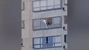 Mulher se pendura para limpar janela do 12º andar em Goiânia, sem segurança
