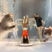 Museu das Ilusões chega a Belém com 100 experiências interativas