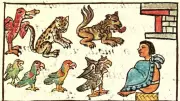 O Vivário de Montezuma: O Zoológico Asteca que Surpreendeu os Espanhóis há 500 Anos
