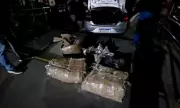 Operação apreende 80 kg de cocaína e prende homem em Santo Estêvão, Bahia