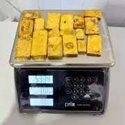 Operação Curare apreende mais de 5 kg de ouro ilegal na fronteira do Amazonas