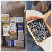 Operação da PM apreende cocaína, canetas emagrecedoras e cigarros eletrônicos em ônibus na BR-135