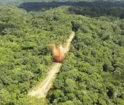 Operação Xapiri interdita pistas de pouso clandestinas e prende suspeitos na Terra Yanomami