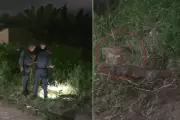Ossada de bebê é encontrada em caixa de concreto em Itanhaém, SP
