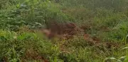 Ossada Humana é Encontrada Durante Escavação em Creche de General Carneiro (MT)