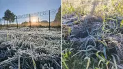 Paraná registra primeira geada de 2026 em Palmas com 3,9°C