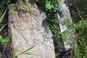 Pedra japonesa de quase 400 kg desaparecida por décadas é redescoberta em Adamantina
