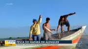 Pesca artesanal do mapará inicia em Alenquer com destaque para mulheres e sustentabilidade