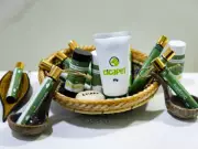 Pesquisadores do Acre buscam patente de pomada cicatrizante para pets com plantas amazônicas