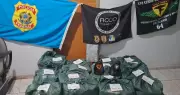 PF apreende 467 kg de cocaína escondida em caminhão de abacaxi no Tocantins