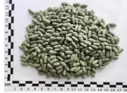 PF apreende centenas de comprimidos de flunitrazepam usados em crimes 'Boa noite, Cinderela'