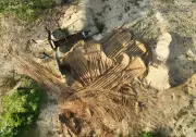 PF realiza operação contra extração ilegal de areia no sul do Pará