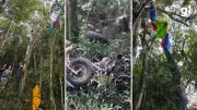 Piloto morre após queda de ultraleve experimental na Serra do Rio Grande do Sul