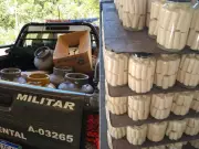 PM Ambiental apreende quase duas toneladas de palmito em fábrica clandestina em Sete Barras