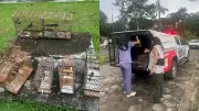 Polícia Ambiental apreende oito aves silvestres e aplica multa de R$ 3 mil em Santa Izabel do Pará