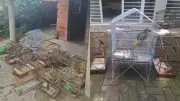 Polícia Ambiental resgata 15 aves silvestres e destrói gaiolas em casa na zona rural de Teresina