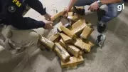 Polícia apreende 21 tijolos de maconha ocultos em tanque de combustível na BR-290