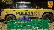 Polícia apreende 341 barras de maconha em rodovia de Passos, Minas Gerais