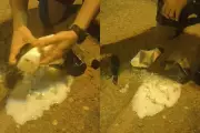 Polícia apreende remédios e anabolizantes escondidos em frascos de higiene em Rosana