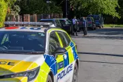 Polícia britânica prende dois por tentativa de ataque incendiário a sinagoga em Londres