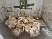 Polícia Civil apreende 300 kg de drogas e prende suspeito em chácara de Serra Negra