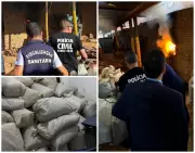 Polícia Civil incinera 500 quilos de maconha apreendidos no Vale do Jequitinhonha
