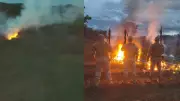 Polícia Federal desarticula plantação de maconha com 35 mil mudas no Piauí