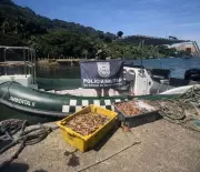 Polícia Militar apreende 100 kg de camarão em ação contra pesca ilegal em Angra dos Reis