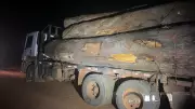 Polícia Militar apreende três caminhões com madeira ilegal em Rondônia