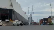 Porto de Itajaí recebe 430 veículos de luxo em navio especializado