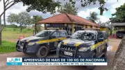 PRF apreende 106 kg de maconha e arma em caminhonete na BR-230, em Altamira