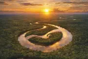 Prêmio Qualidade Amazonas 2026: inscrições abertas até 12 de junho