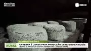 Queijaria em Goiás inaugura primeira caverna de maturação do Brasil