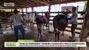Queijo Parmesão Mineiro Ganha Regulamentação Oficial Beneficiando Produtores Rurais