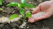 Resíduos industriais viram fertilizantes de alta eficiência no agronegócio brasileiro