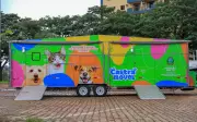 Ribeirão Preto lança sistema online para castração gratuita de cães e gatos