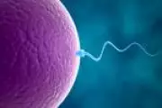 Rotina fitness em excesso pode prejudicar a fertilidade, alerta especialista