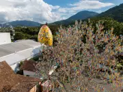 Árvore de Páscoa em Pomerode (SC) é decorada com mais de 100 mil cascas de ovos pintadas à mão