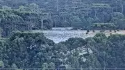 Santa Catarina registra geada intensa com temperaturas abaixo de 3ºC na Serra