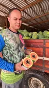 Sebrae no Acre capacita pequenos fornecedores de frutas e verduras
