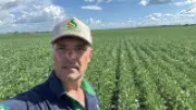 Segunda safra no Tocantins mantém estabilidade, mas clima e custos pressionam produtores