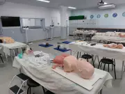 Setor da Saúde no Brasil: Crescimento, Oportunidades e Formação de Qualidade